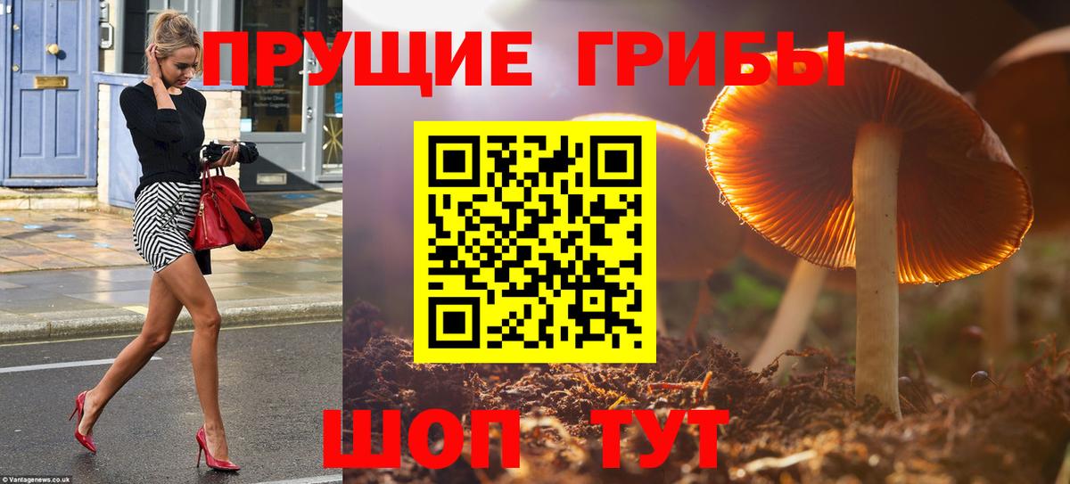 Галлюциногенные грибы ЛСД Анжеро-Судженск