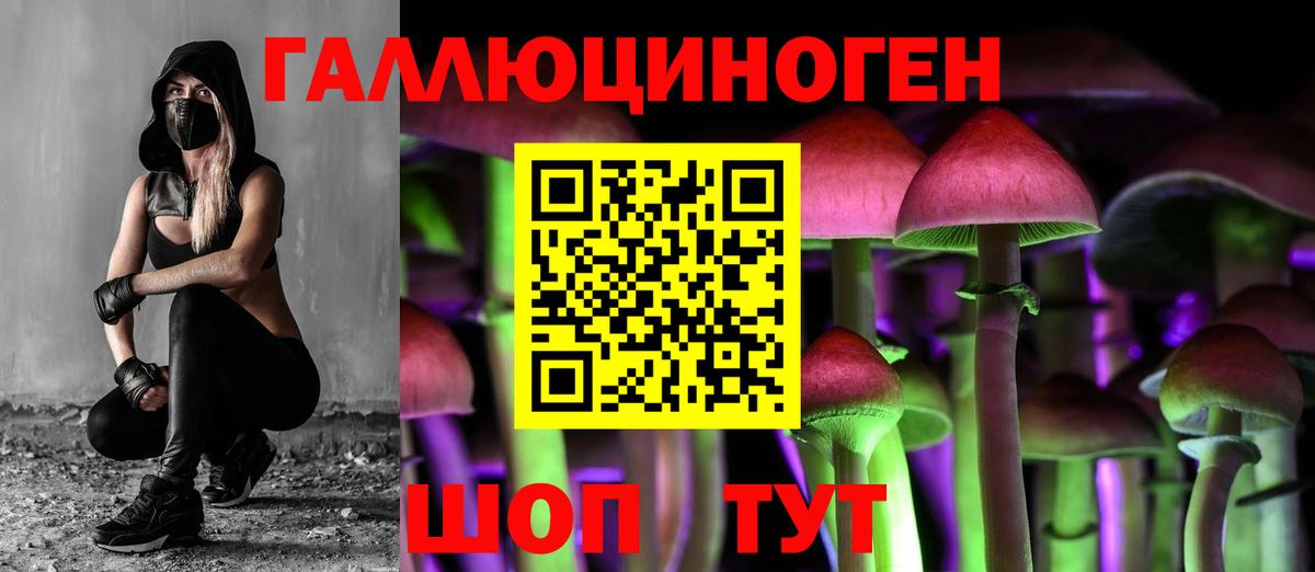 Анжеро-Судженск  Галлюциногенные грибы Cubensis  Вход с VPN  Галлюциногенные грибы Psilocybe 